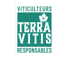 Vins Terra Vitis