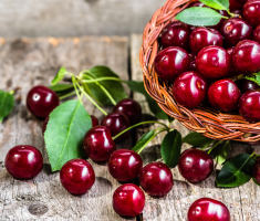 conserver les cerises
