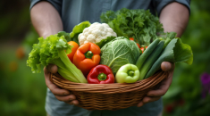 fruits et légumes calendrier