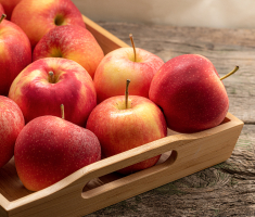 conserver les pommes