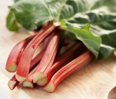conserver la rhubarbe