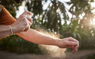 Les solutions anti-insectes 