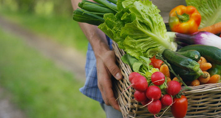  Bio, Agriculture Biologique : tout savoir