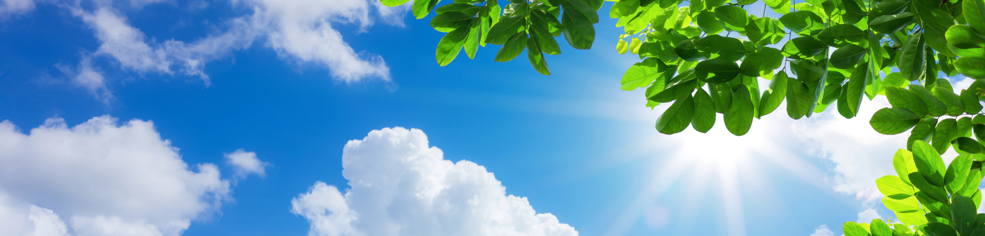 soleil d'&eacute;t&eacute;