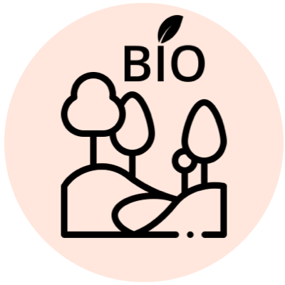 Oeufs bio